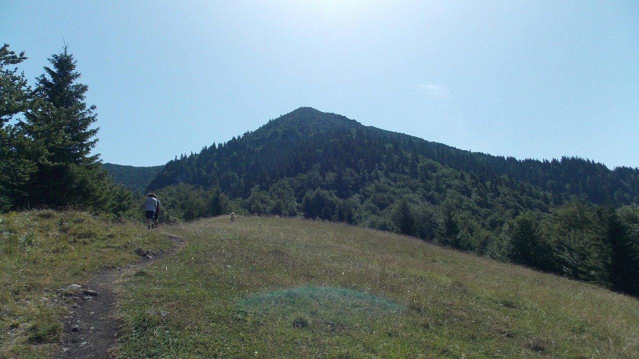 Suchý