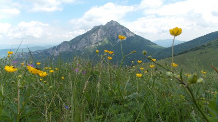 Veľký Rozsutec
